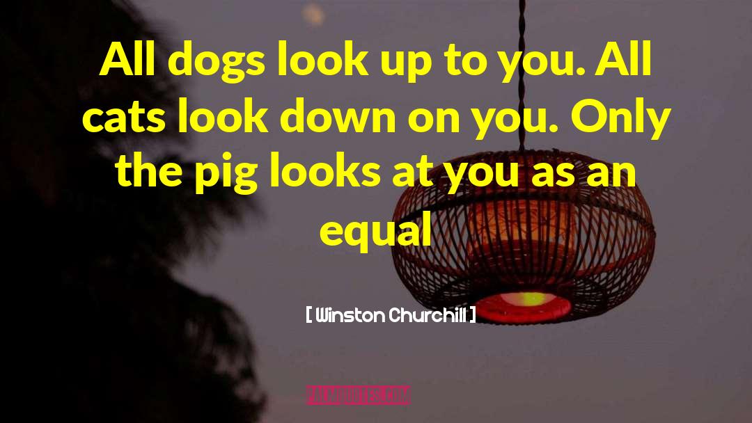 Look Up To quotes by Winston Churchill