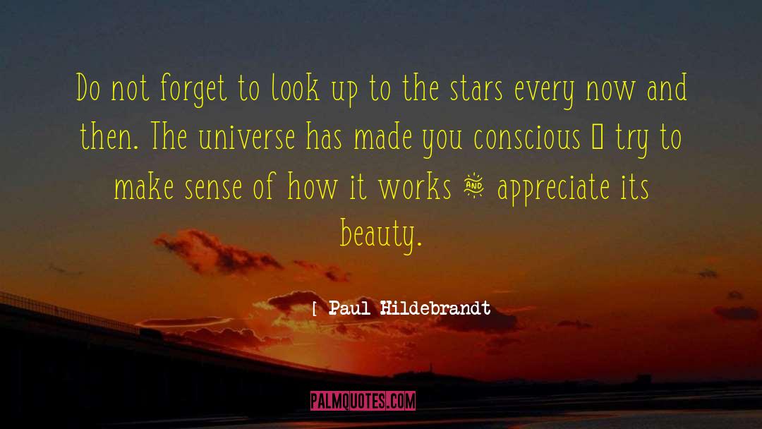 Look Up To The Stars quotes by Paul Hildebrandt