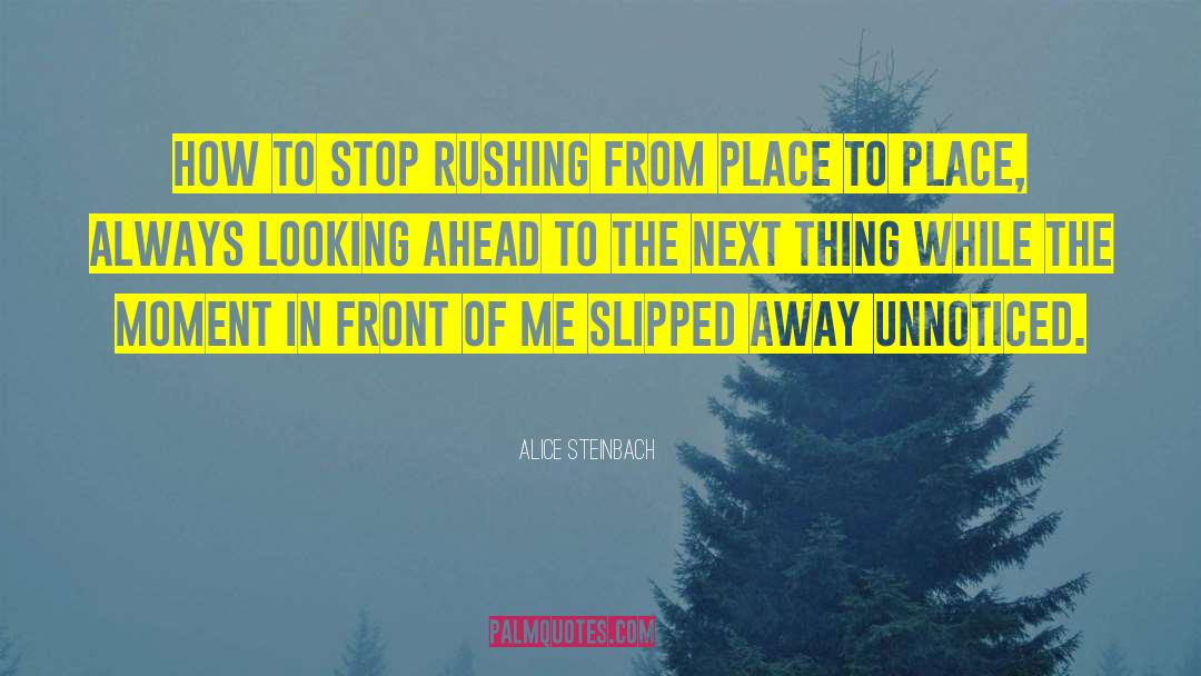 Looking Ahead quotes by Alice Steinbach