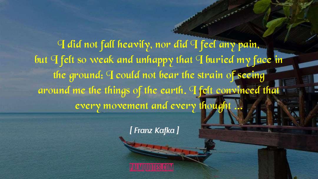 Looking And Seeing quotes by Franz Kafka