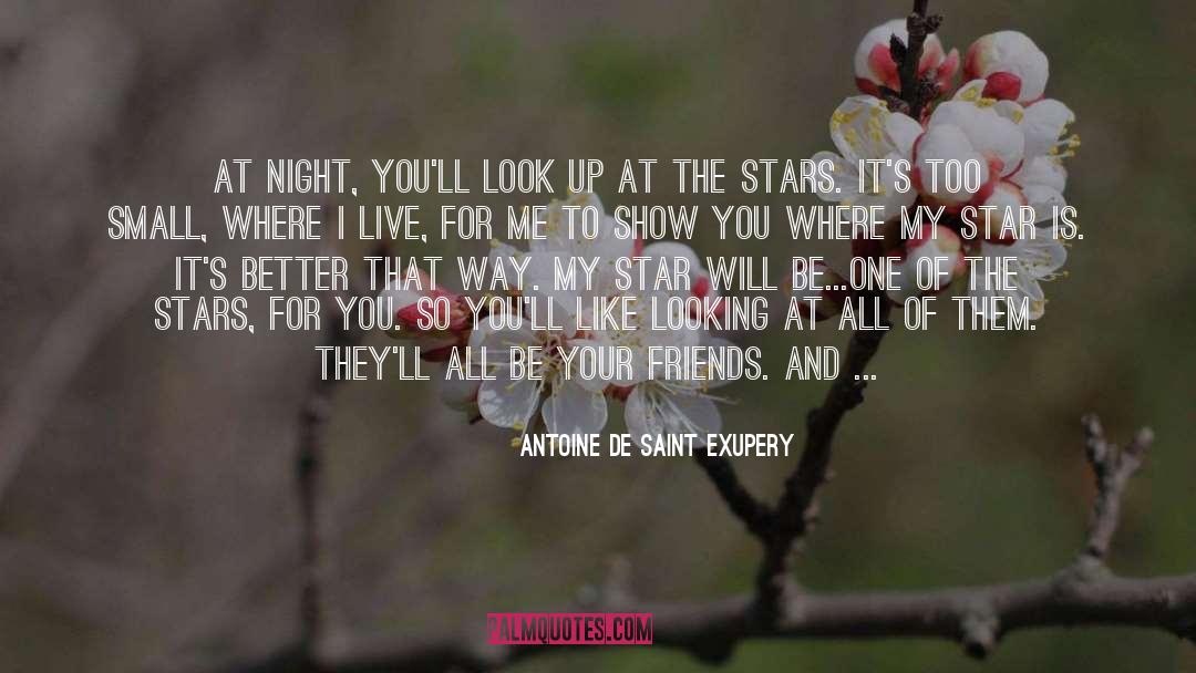 Looking At A Person quotes by Antoine De Saint Exupery