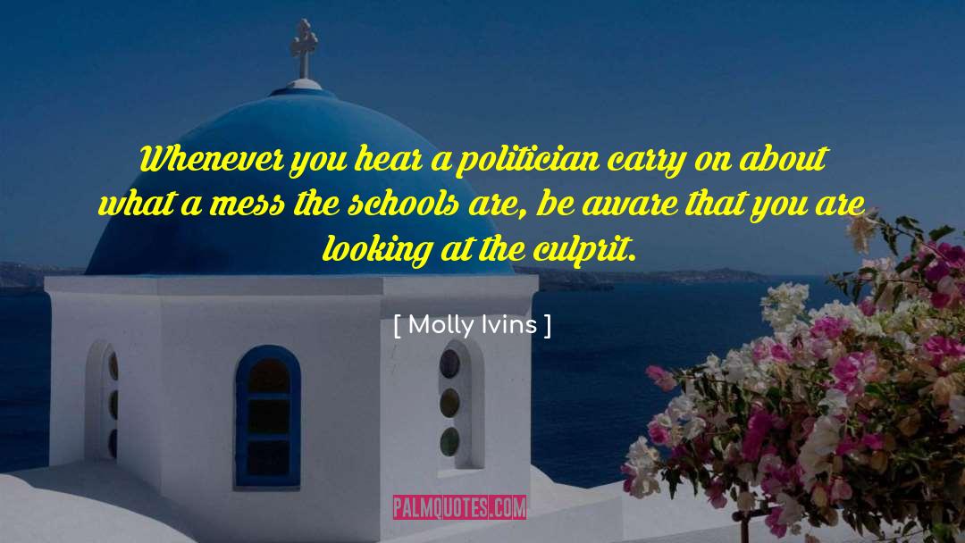 Looking At Night quotes by Molly Ivins