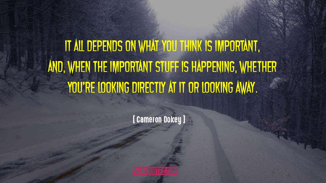 Looking Away quotes by Cameron Dokey