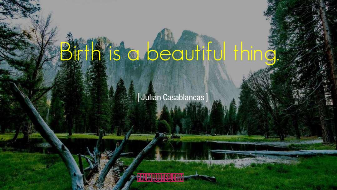 Looking Beautiful quotes by Julian Casablancas