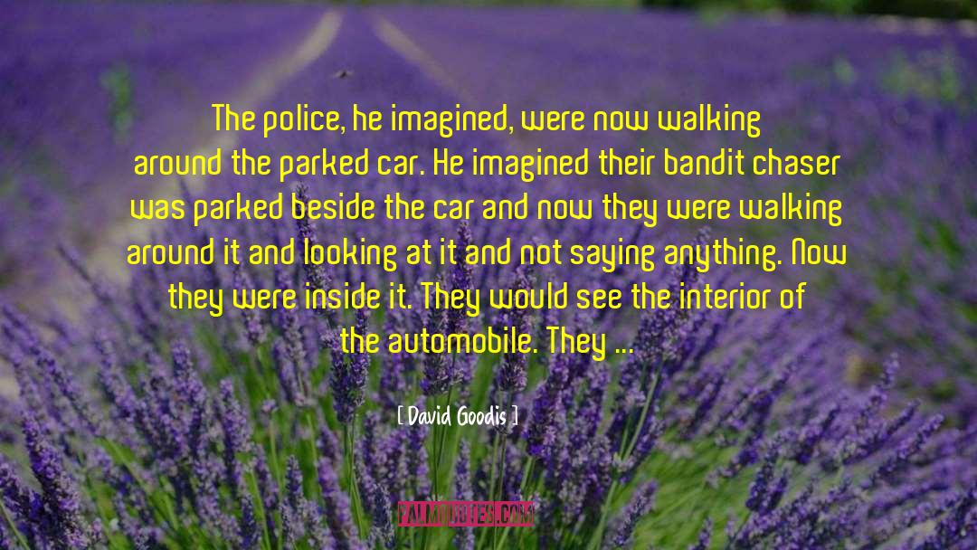 Looking Beautiful quotes by David Goodis