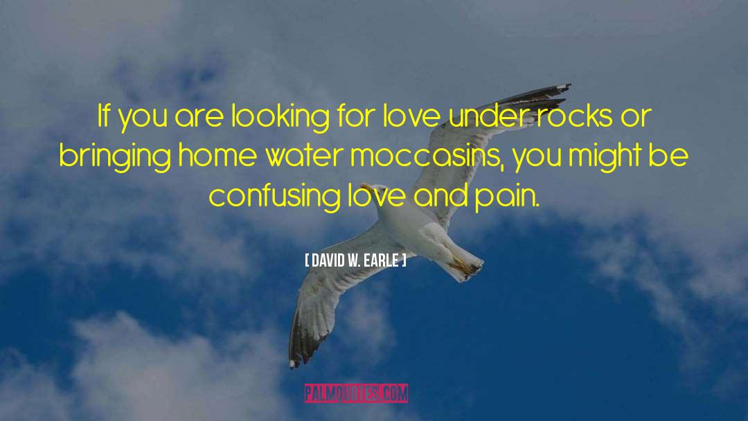 Looking For Love quotes by David W. Earle