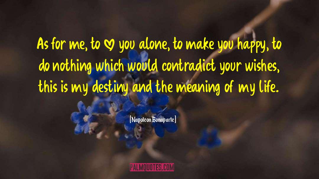 Looking For Love quotes by Napoleon Bonaparte