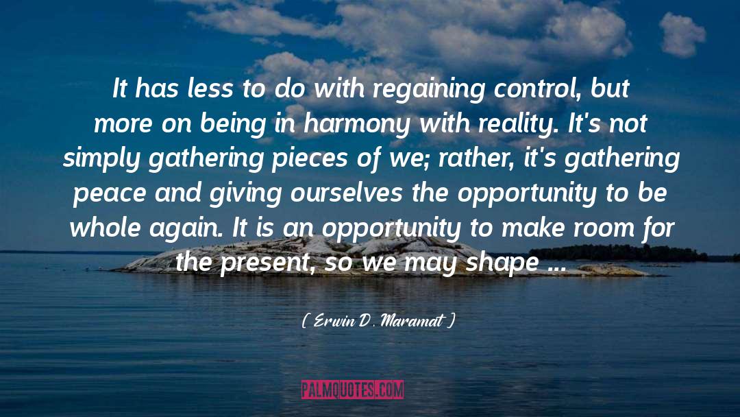 Looking Forward To The Future quotes by Erwin D. Maramat