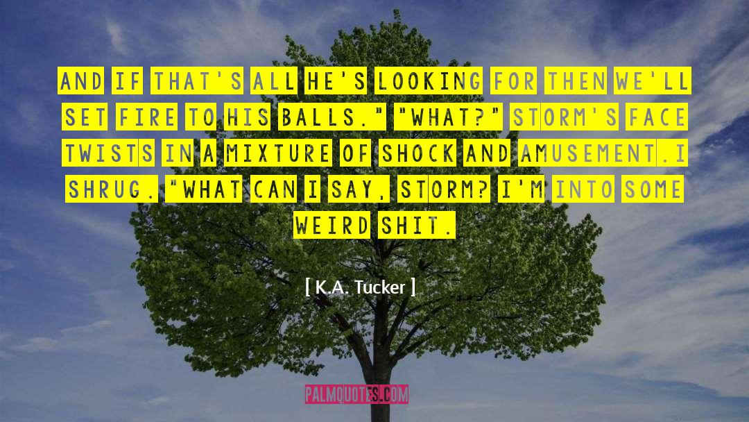 Looking Foward To quotes by K.A. Tucker