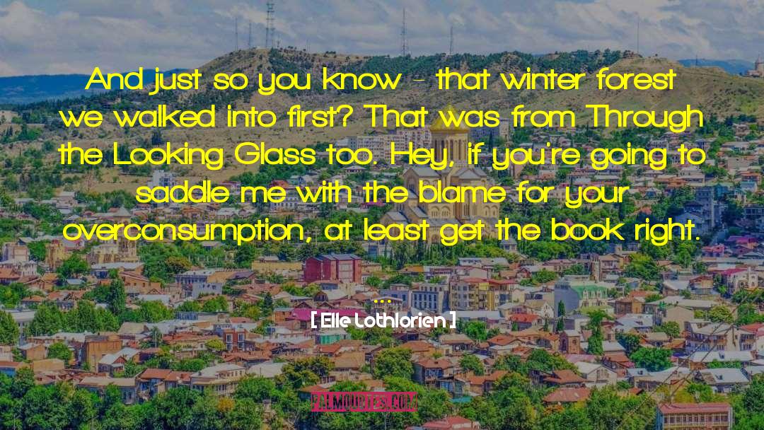 Looking Glass quotes by Elle Lothlorien