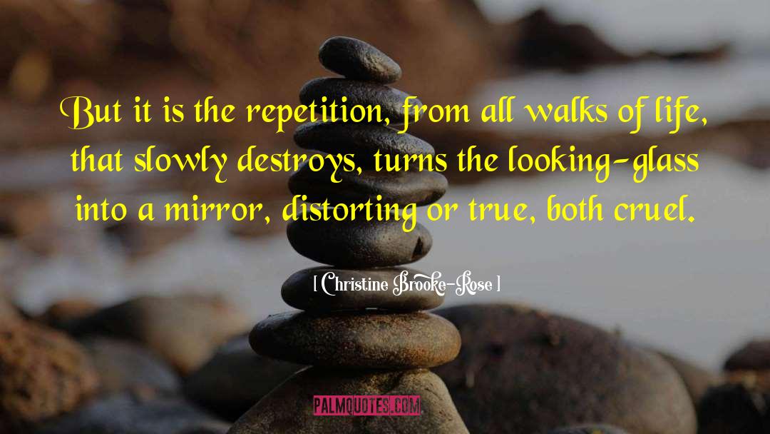Looking Glass quotes by Christine Brooke-Rose
