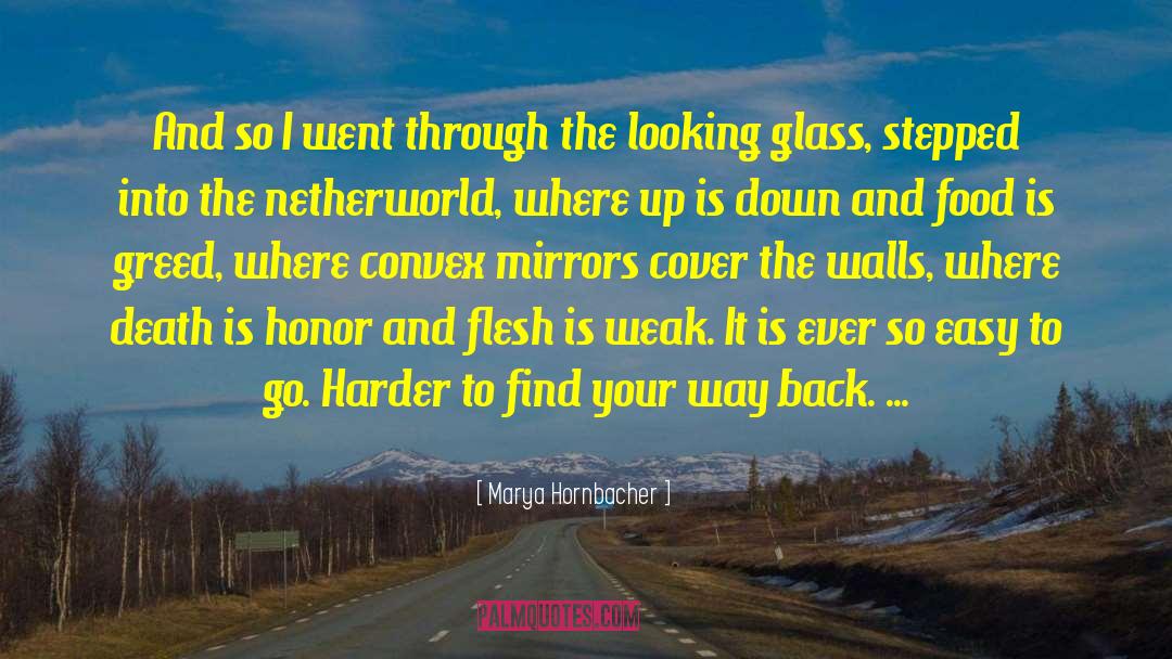 Looking Glass quotes by Marya Hornbacher
