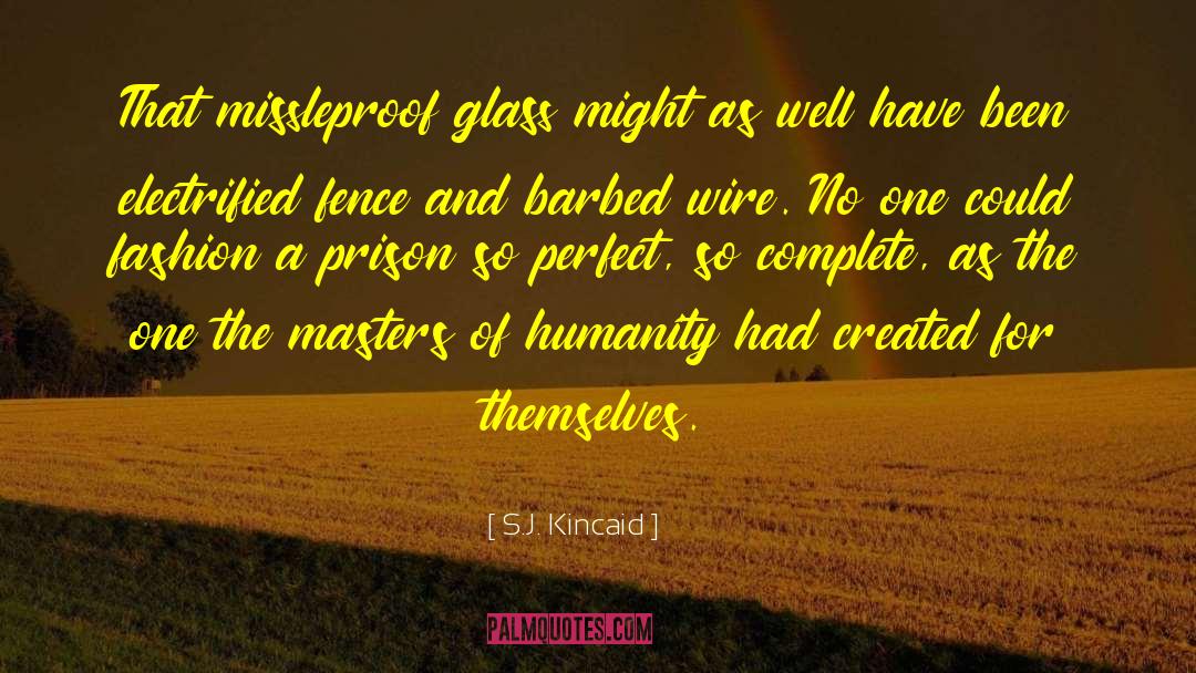Looking Glass Self quotes by S.J. Kincaid
