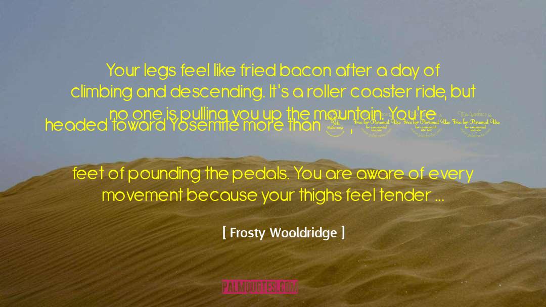 Looking In Front Of You quotes by Frosty Wooldridge