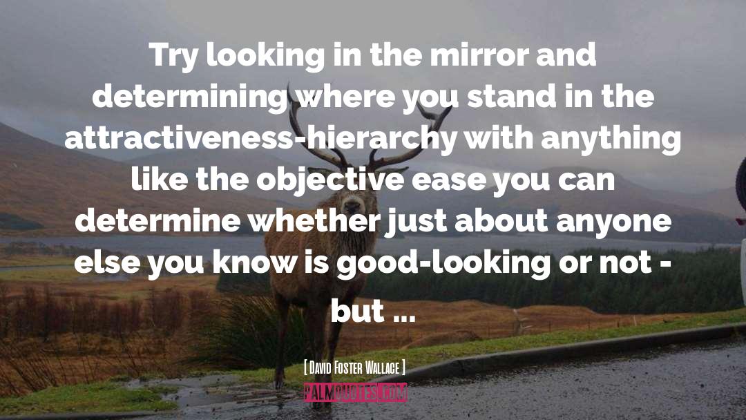 Looking In The Mirror quotes by David Foster Wallace