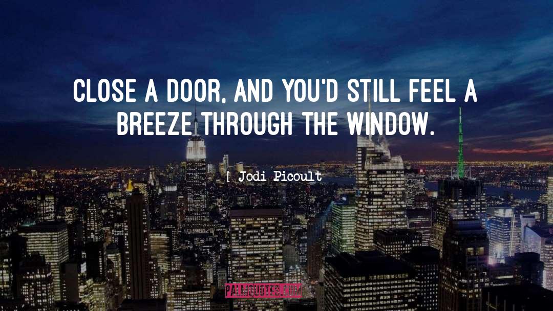 Looking Through Window Quote quotes by Jodi Picoult