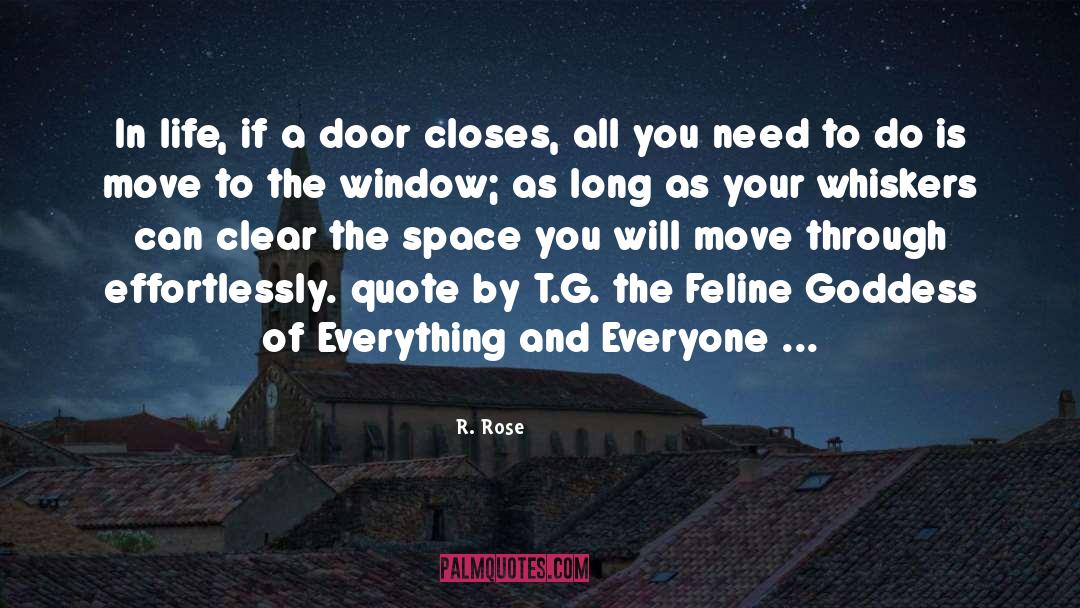 Looking Through Window Quote quotes by R. Rose