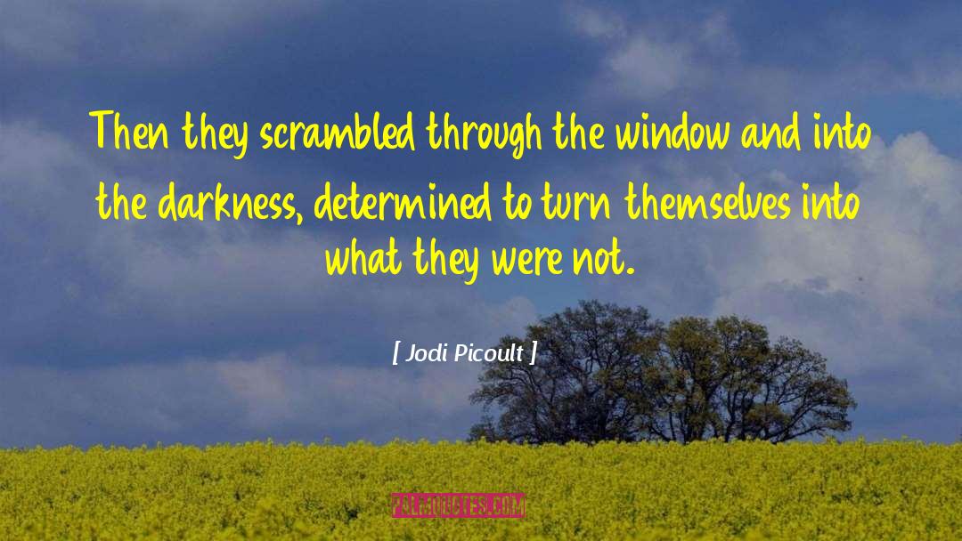 Looking Through Window Quote quotes by Jodi Picoult