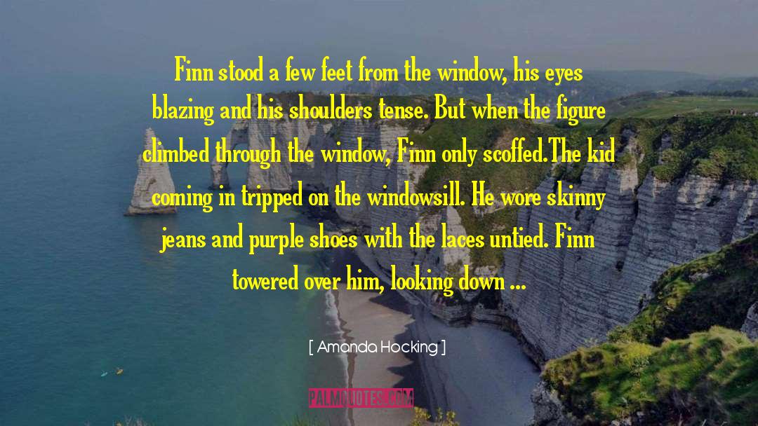 Looking Through Window Quote quotes by Amanda Hocking