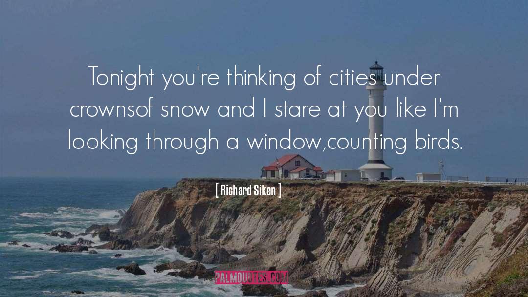 Looking Through Window Quote quotes by Richard Siken