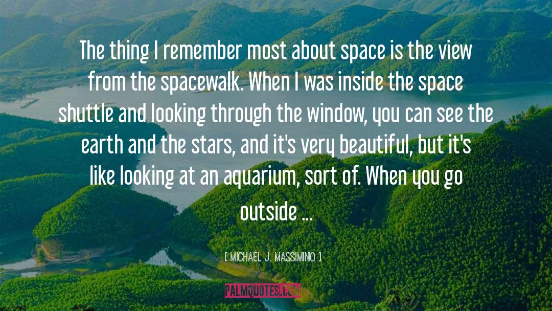 Looking Through Window Quote quotes by Michael J. Massimino