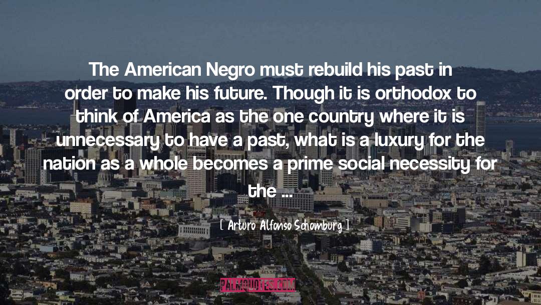 Looking To The Future quotes by Arturo Alfonso Schomburg