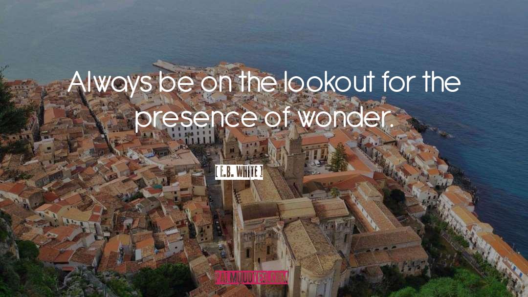 Lookout quotes by E.B. White