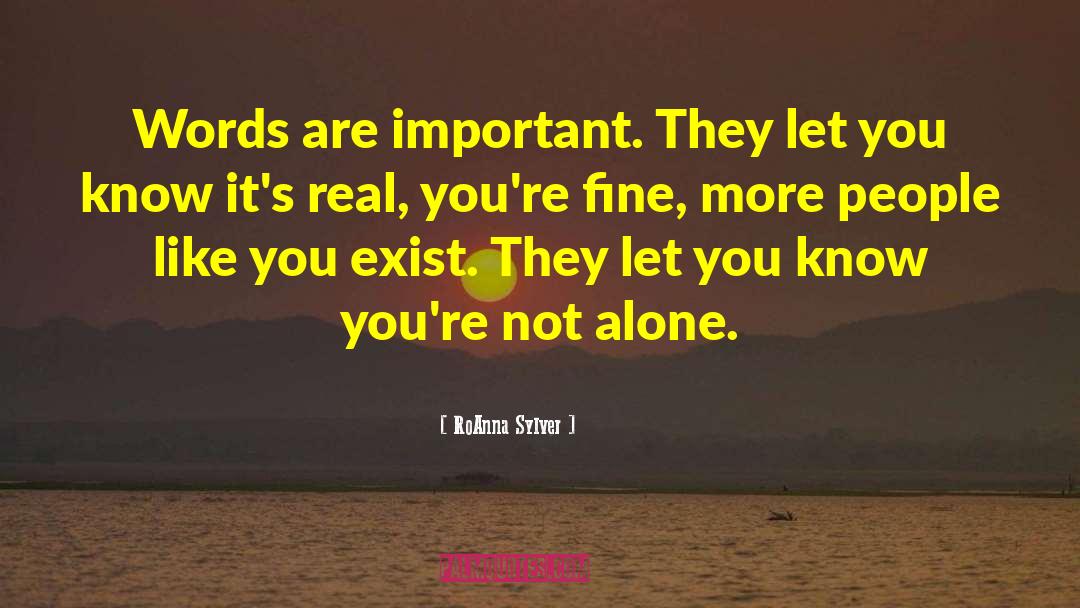 Looks Are Not Important quotes by RoAnna Sylver