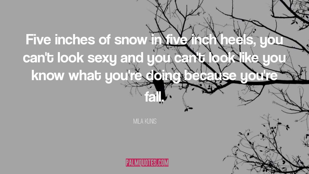 Looks Like Snow quotes by Mila Kunis