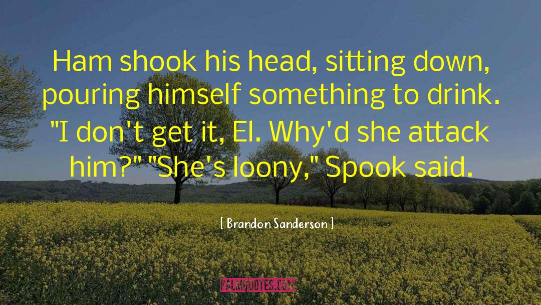 Loony quotes by Brandon Sanderson