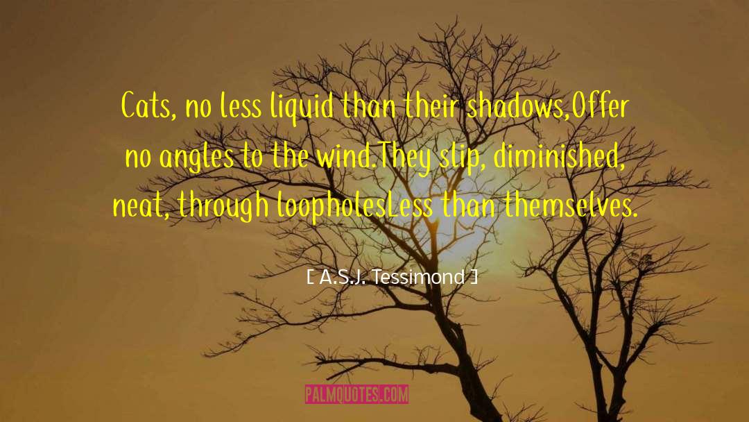 Loopholes quotes by A.S.J. Tessimond