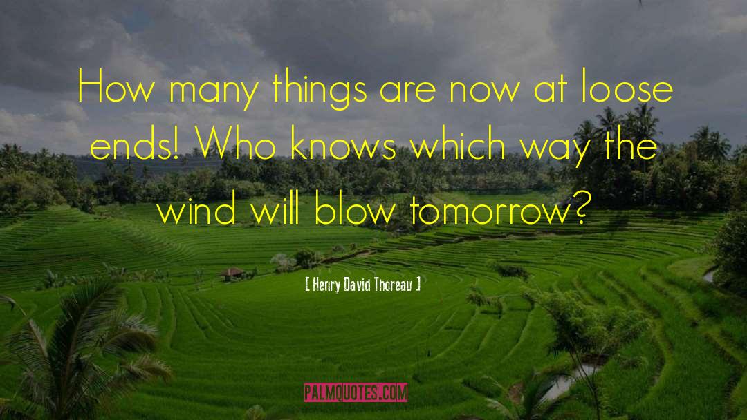 Loose Ends quotes by Henry David Thoreau