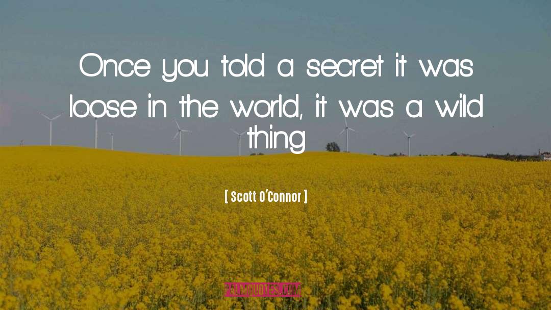 Loose quotes by Scott O'Connor