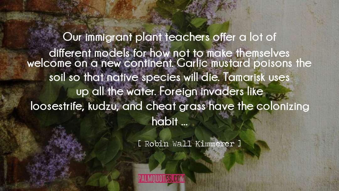 Loosestrife quotes by Robin Wall Kimmerer