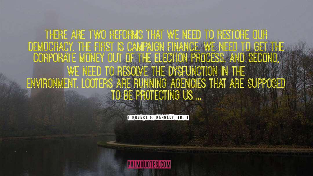Looters quotes by Robert F. Kennedy, Jr.