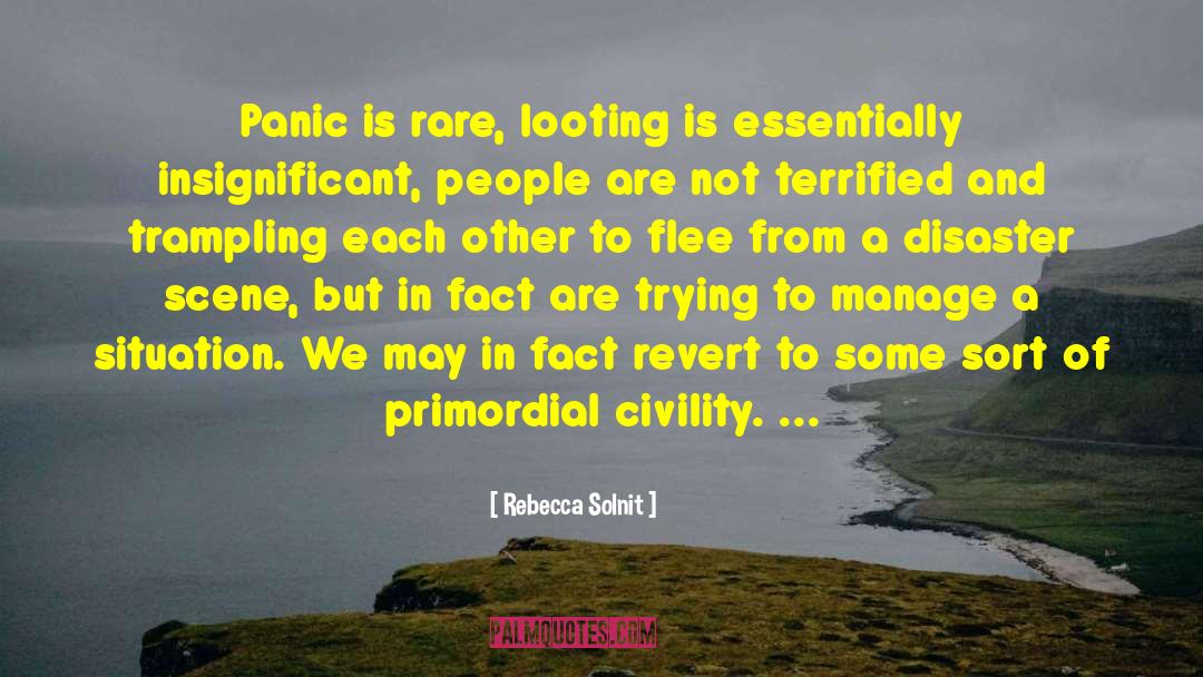 Looting quotes by Rebecca Solnit