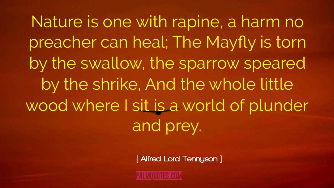 Lord Tennyson quotes by Alfred Lord Tennyson