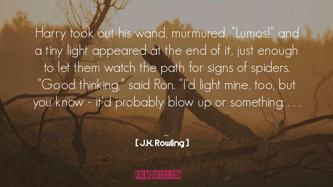 Lords Of Light quotes by J.K. Rowling