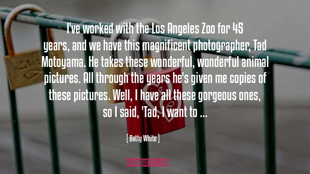 Los Angeles Kings quotes by Betty White