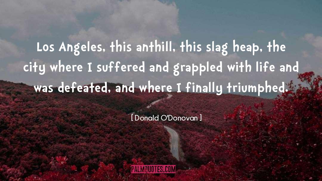 Los Angeles Lifestyle quotes by Donald O'Donovan