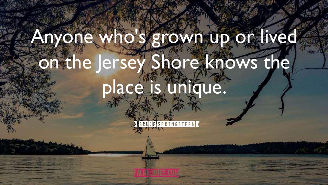 Lose Sight Of Shore Quote quotes by Bruce Springsteen