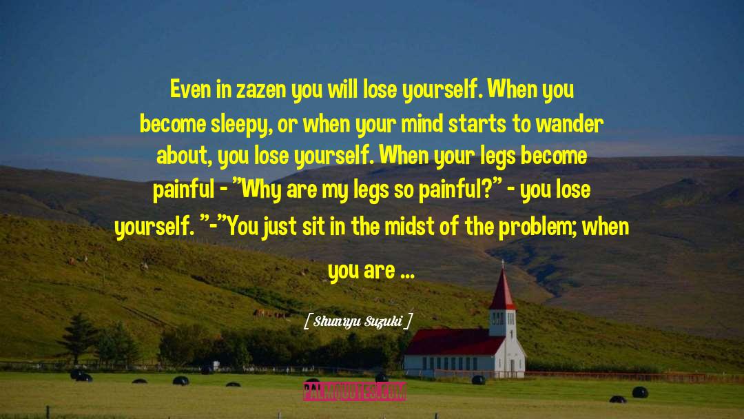 Lose Yourself quotes by Shunryu Suzuki