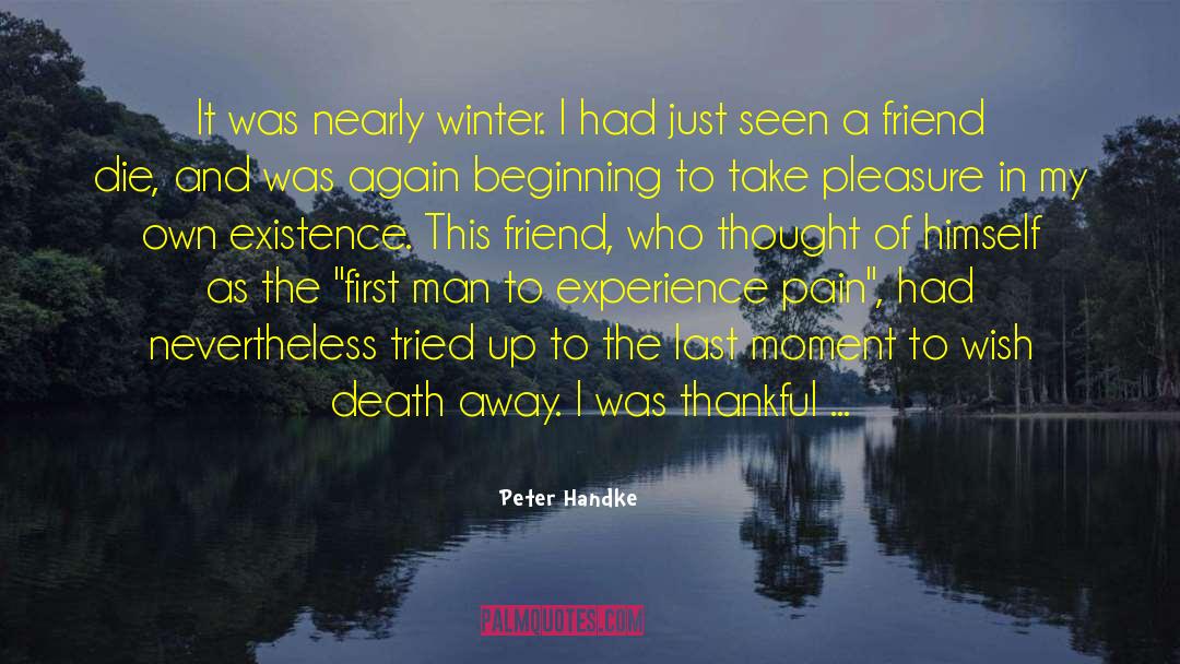 Losing A Friend quotes by Peter Handke