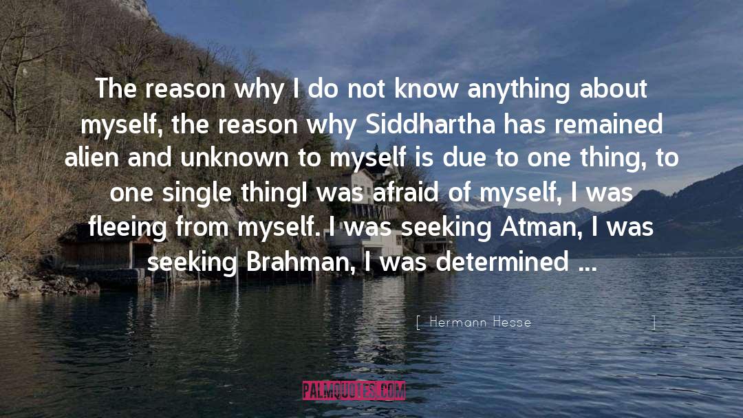 Losing Myself quotes by Hermann Hesse