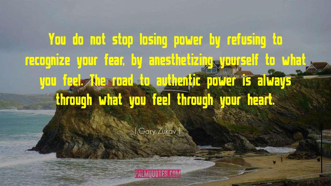 Losing Power quotes by Gary Zukav