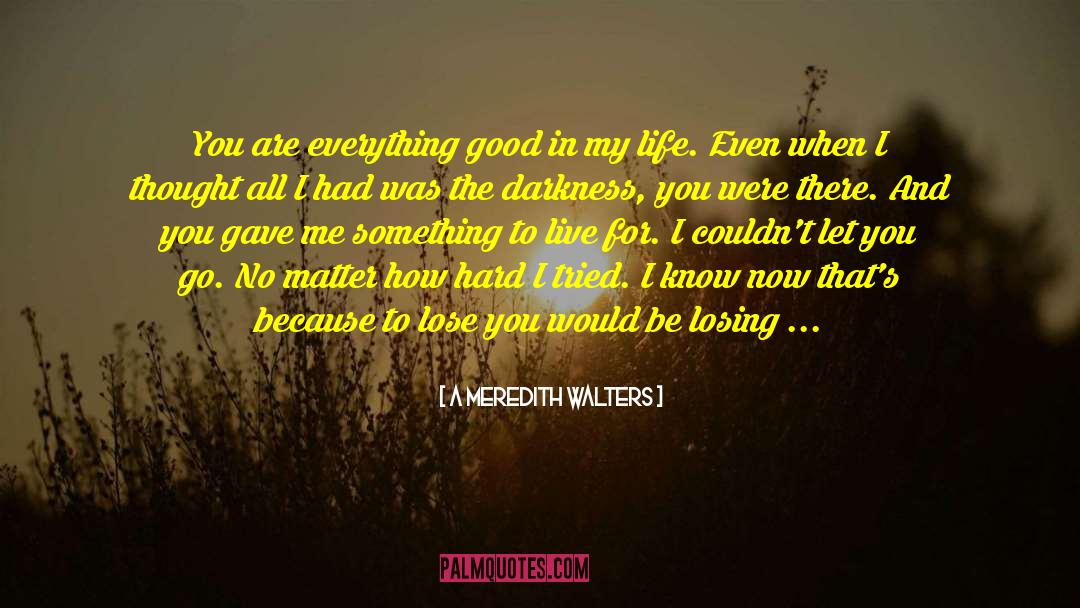 Losing Something In My Life quotes by A Meredith Walters
