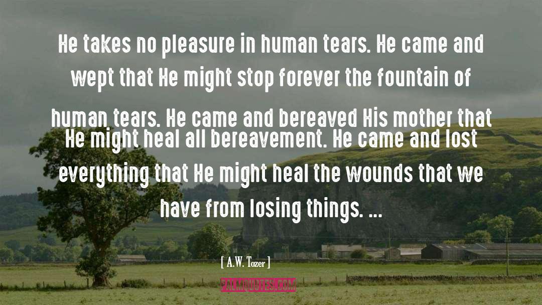 Losing Things quotes by A.W. Tozer