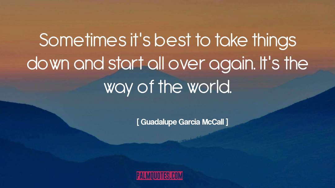 Losing Things quotes by Guadalupe Garcia McCall