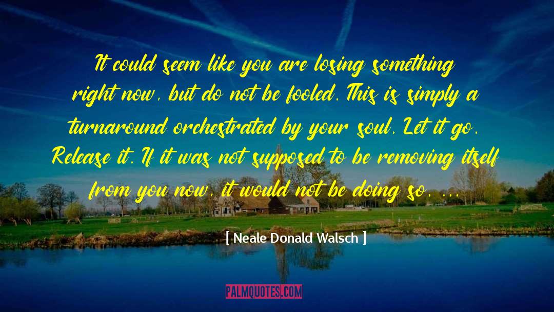 Losing Weight quotes by Neale Donald Walsch