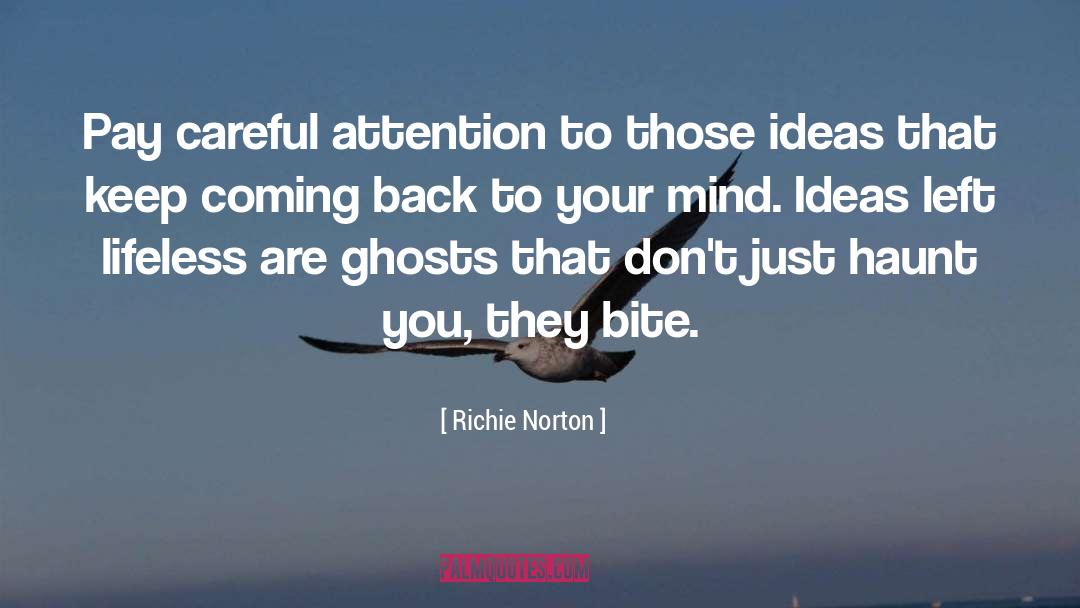 Losing Your Mind quotes by Richie Norton